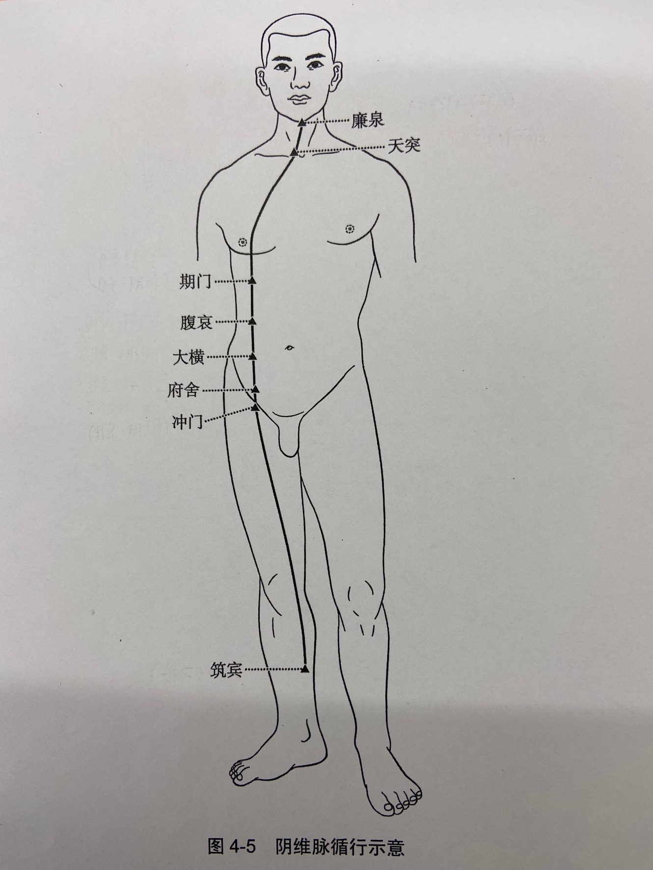 中国針灸刺灸法 中国鍼の秘密：古代から現代への治療法の進化 | 中国語勉強の教材